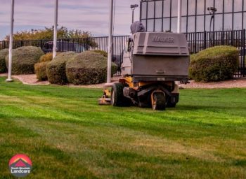 Great Commerical Landscaping Paradise Valley Az