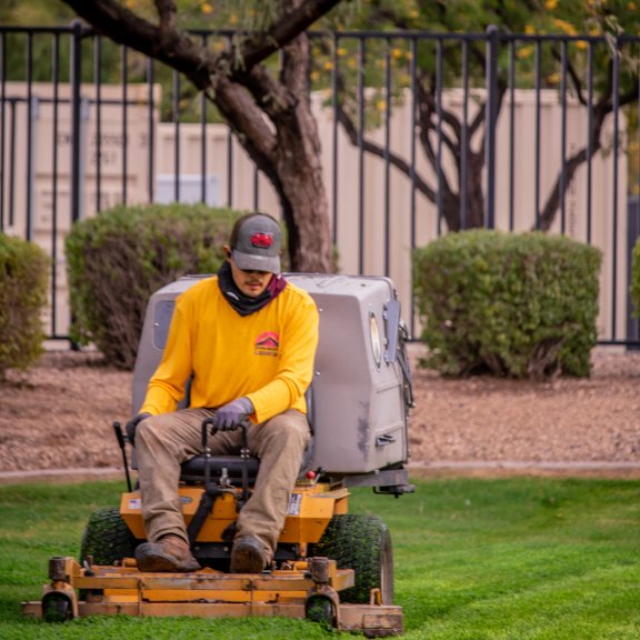 Commercial Landscaping Phoenix Arizona South Mountain Landcare