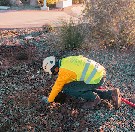 Best Landscapers Phoenix AZ