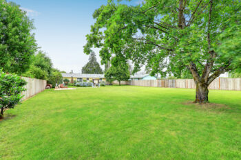 Large Spacious Backyard Area, Filled With Green Grass