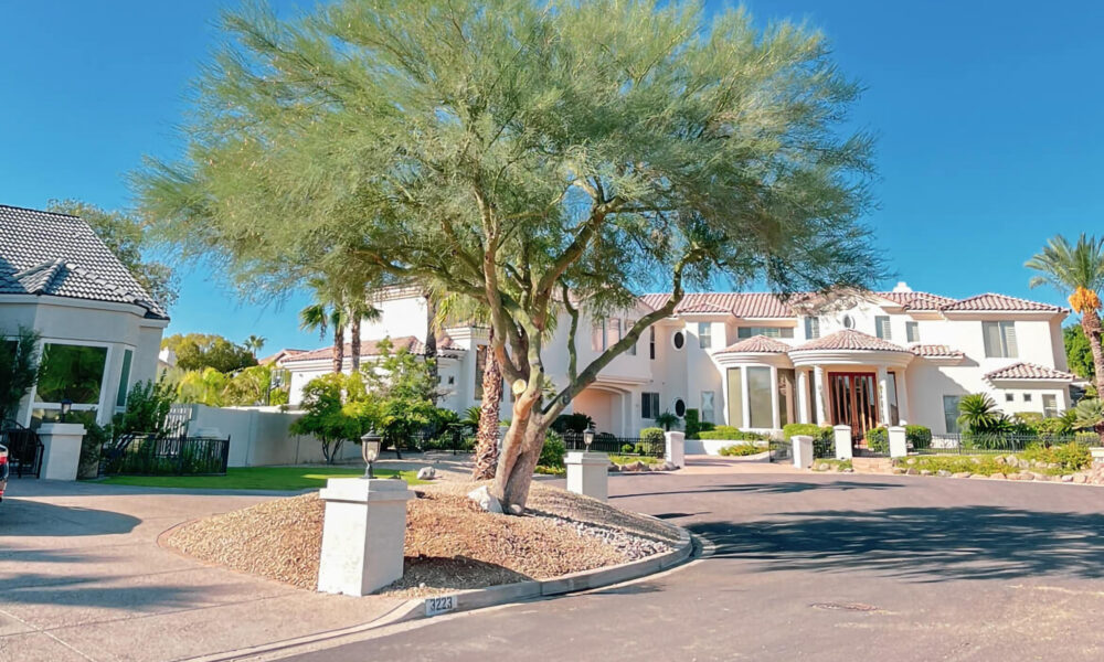 Tree Trimming Near Me Phoenix Az