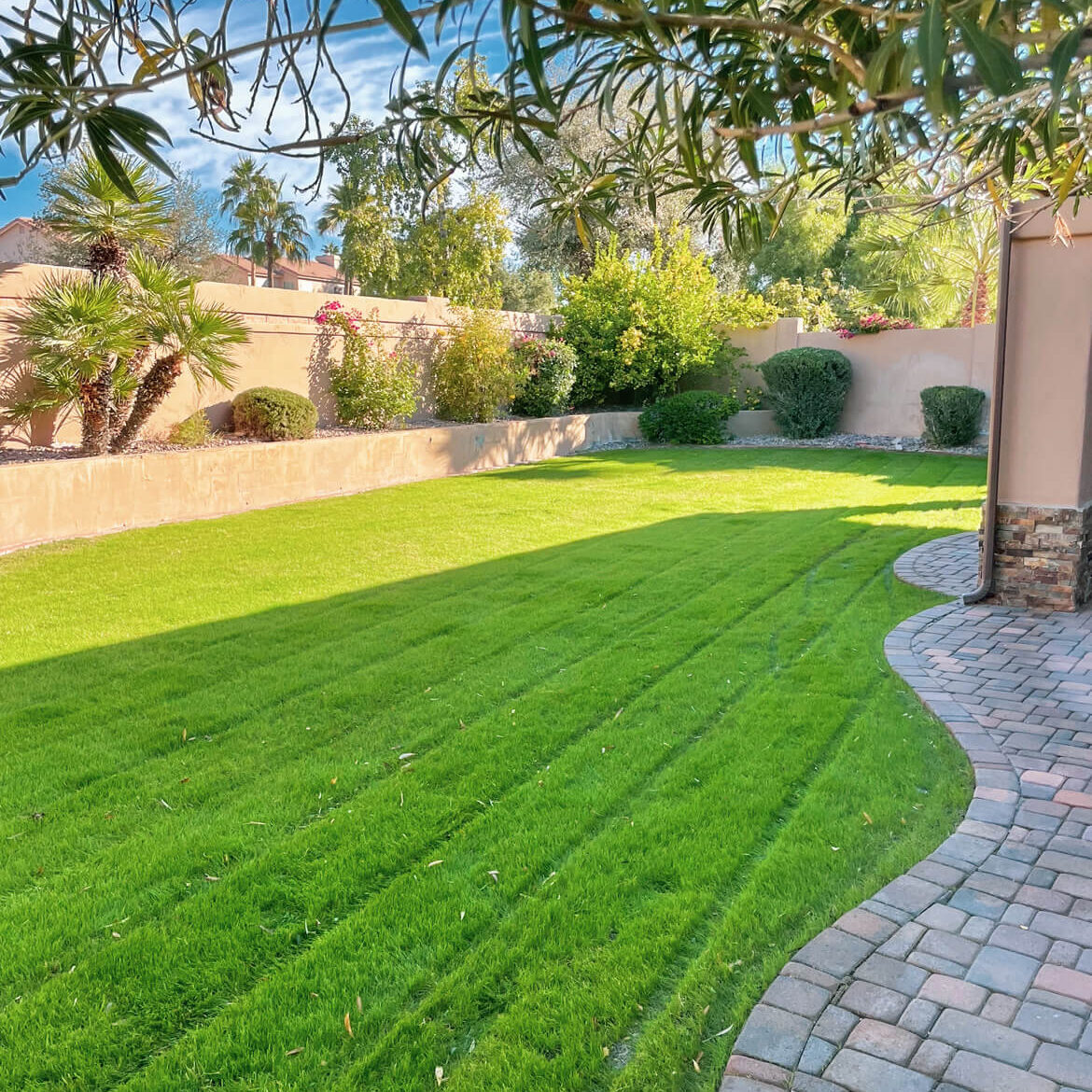 Best Landscapers Phoenix Az