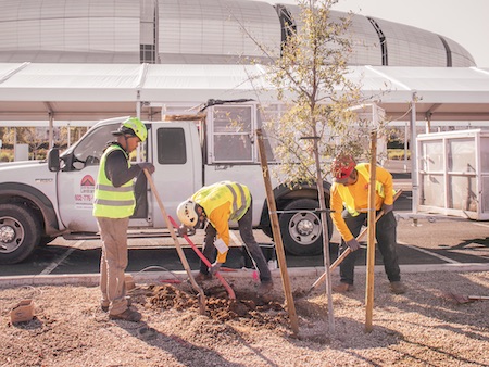 Commercial Landscape Maintenance Near Me Phoenix Az