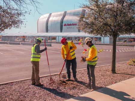 Commercial Landscaping Near Me Chandler Az