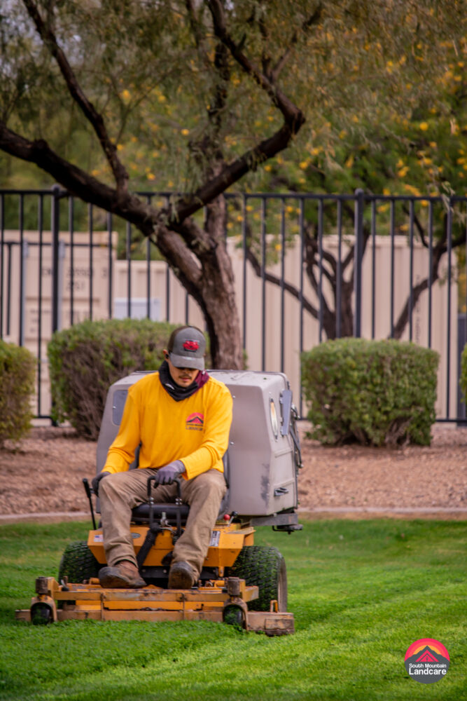 Professional Landscapers Paradise Valley Az