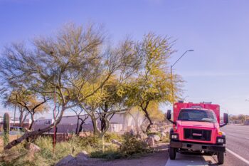 commercial landscaper Phoenix AZ