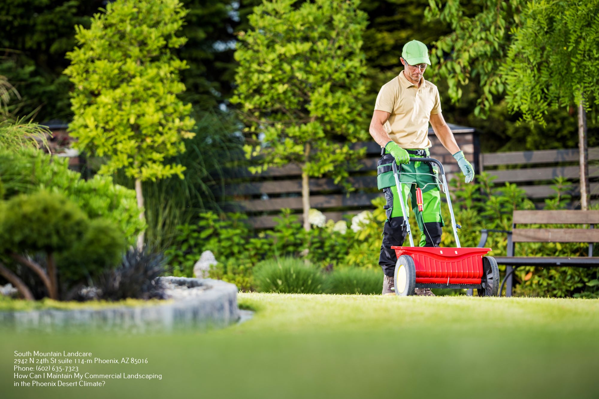 Commercial Landscaping Phoenix AZ