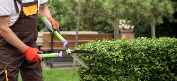 Commercial Landscaping In Phoenix Az
