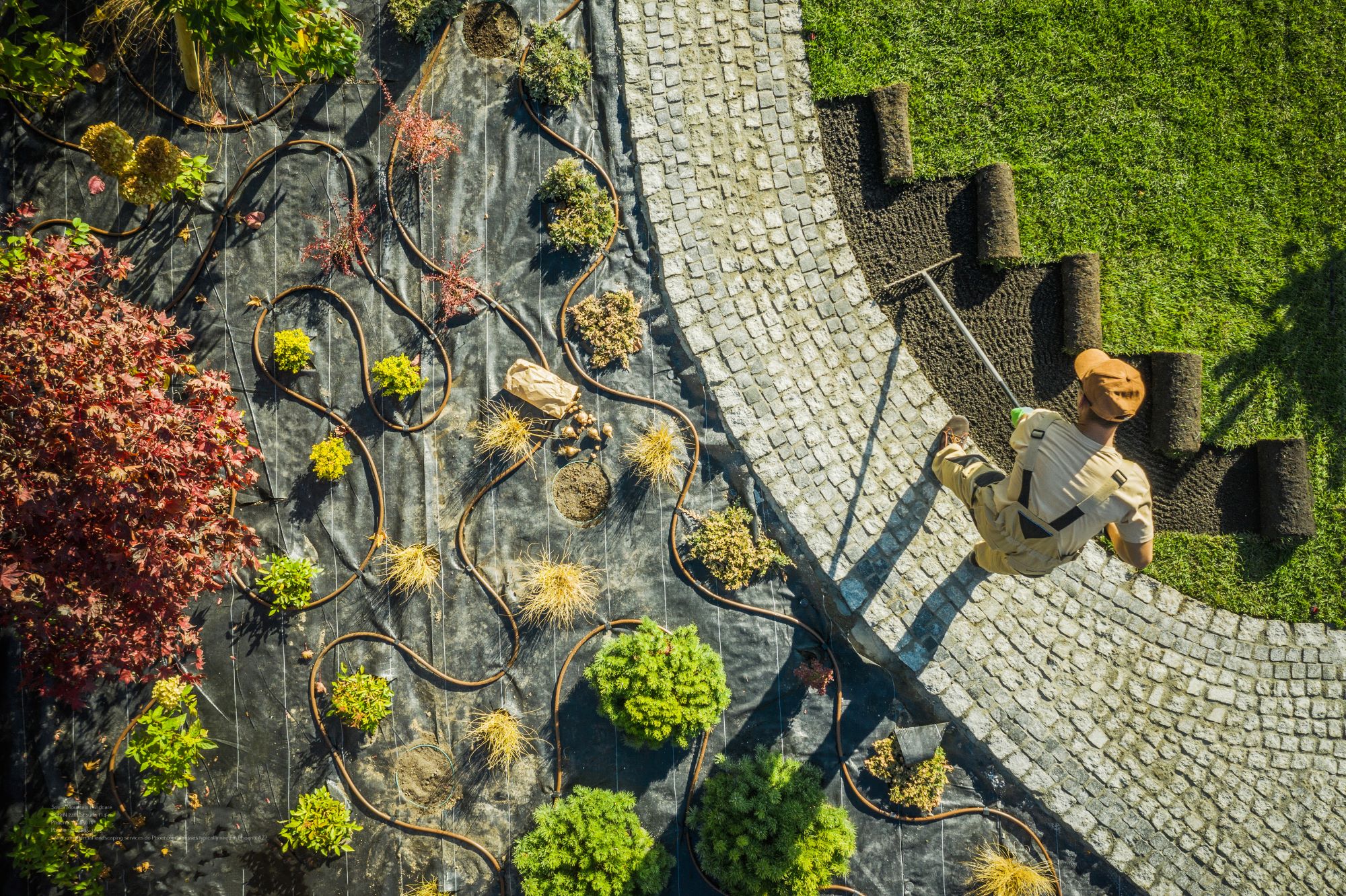 commercial landscaping Phoenix AZ