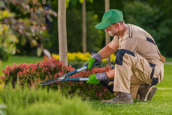 Commercial Landscaping In Phoenix Az
