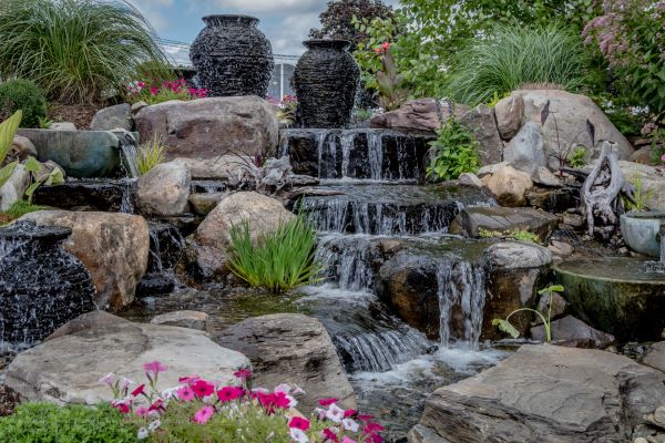 Commercial Landscaping In Phoenix Arizona