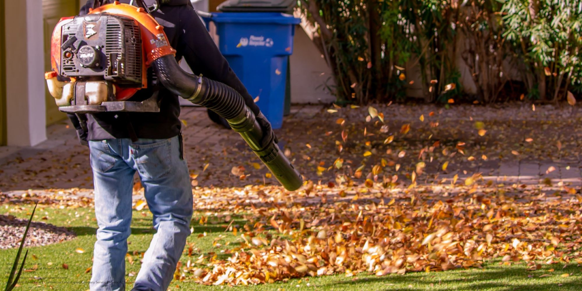 Commercial Landscaping Near Me Phoenix AZ