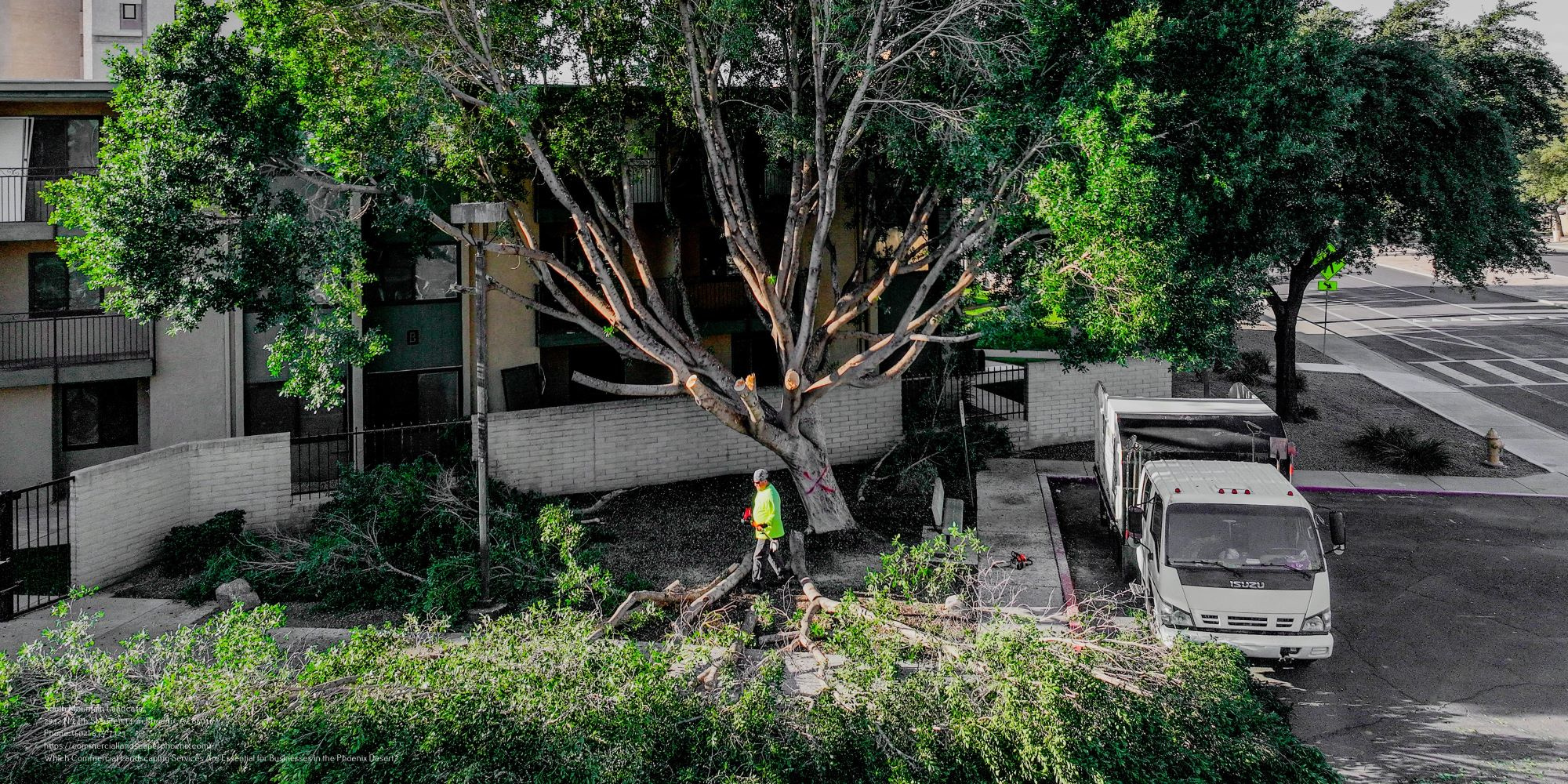 Commercial Landscaping Near Me Phoenix AZ