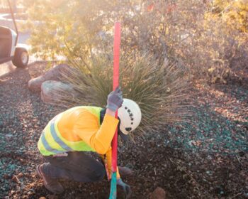 Commercial Landscaping Phoenix AZ