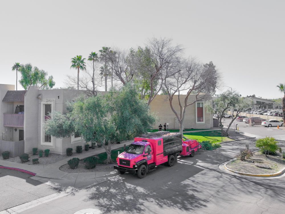Commercial Tree Service Laveen Az