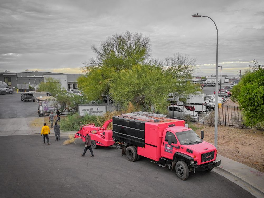 Commercial Tree Service Near Me Goodyear Az