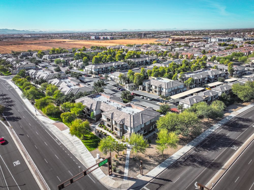 Commercial Tree Service Phoenix Az